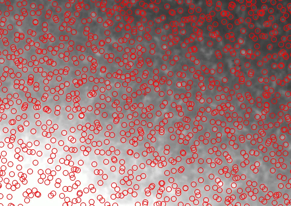 A field of dots, circled with red circles. Asteroids!