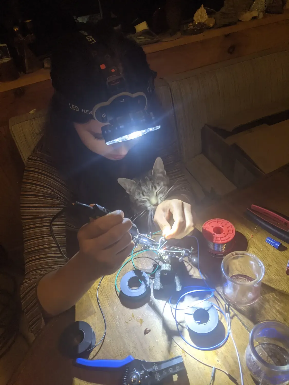 A small cat in my lap while I'm soldering